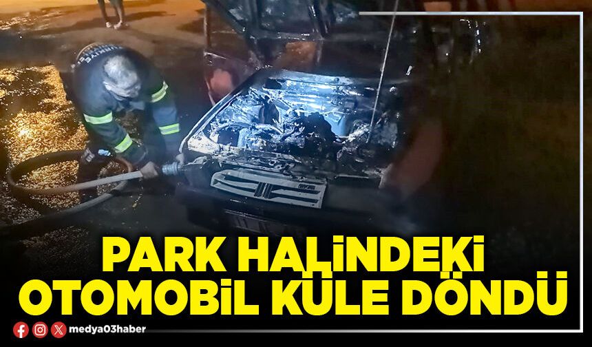 Park halindeki otomobil küle döndü