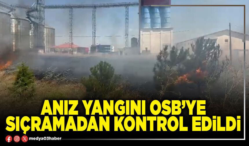 Anız yangını OSB’ye sıçramadan kontrol edildi