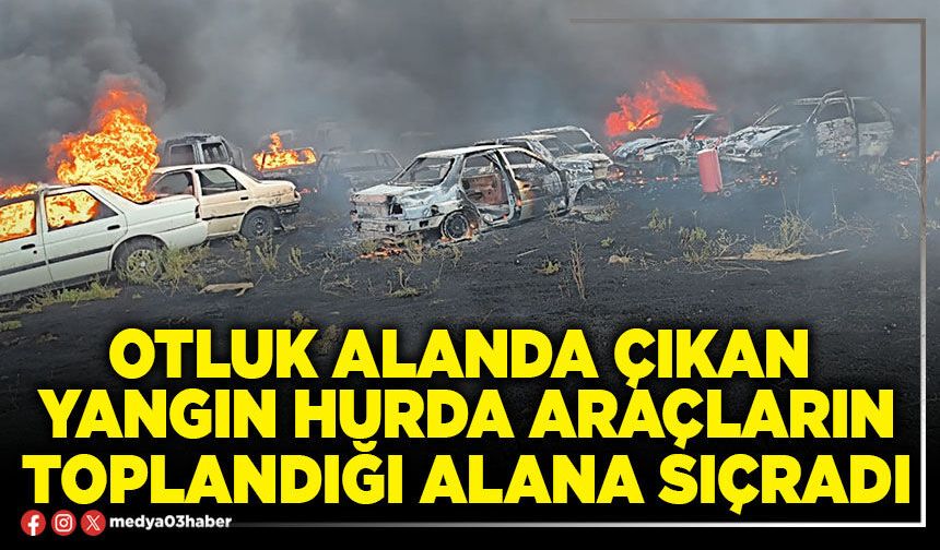 Otluk alanda çıkan yangın hurda araçların toplandığı alana sıçradı