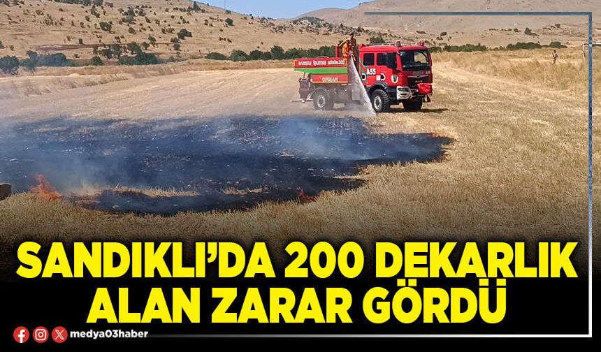 Sandıklı’da 200 dekarlık alan zarar gördü