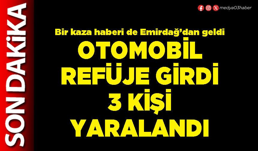 Otomobil refüje girdi 3 kişi yaralandı