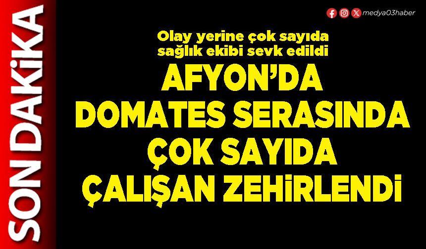 Afyon’da domates serasında çok sayıda çalışan zehirlendi