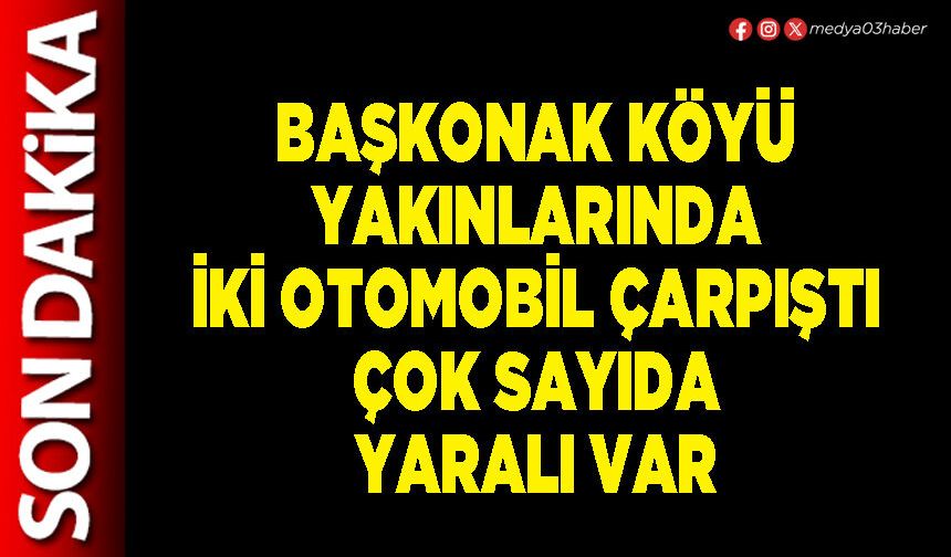 Başkonak Köyü yakınlarında iki otomobil çarpıştı çok sayıda yaralı var