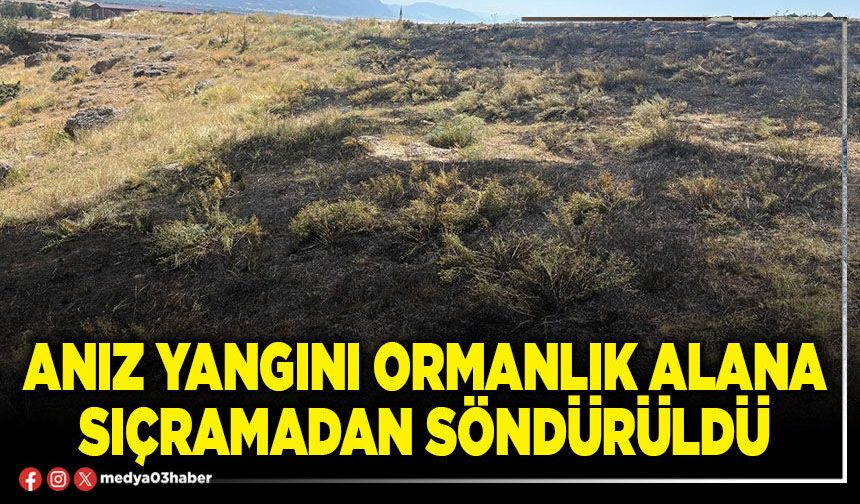 Anız yangını ormanlık alana sıçramadan söndürüldü