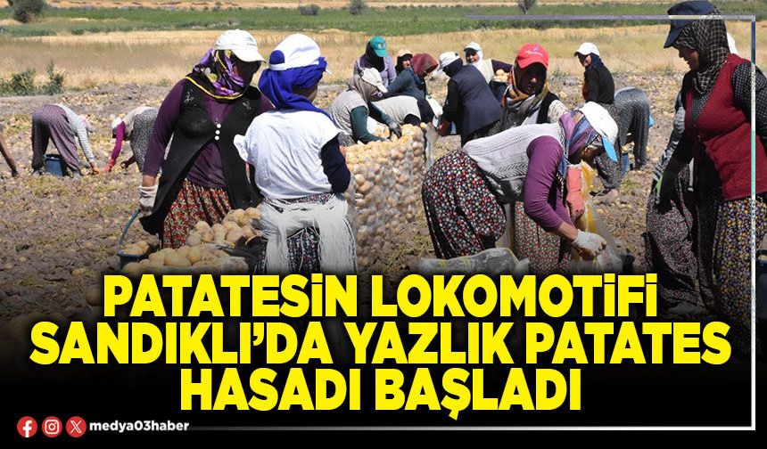 Patatesin lokomotifi Sandıklı’da yazlık patates hasadı başladı