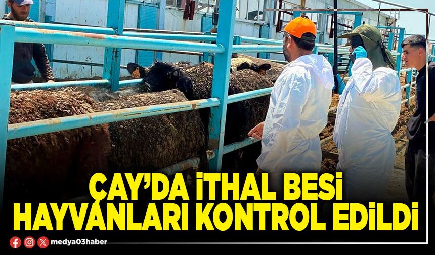 Çay’da ithal besi hayvanları kontrol edildi