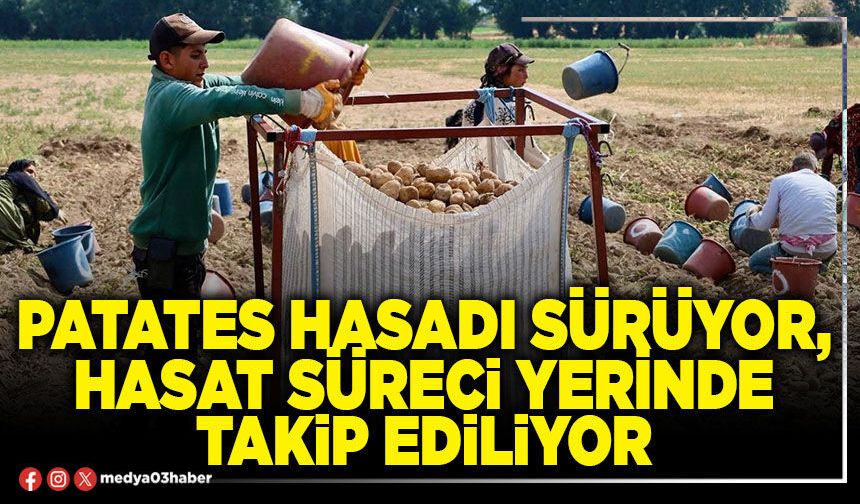 Patates hasadı sürüyor, hasat süreci yerinde takip ediliyor