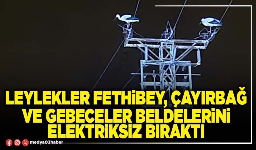 Leylekler Fethibey, Çayırbağ ve Gebeceler Beldelerini elektriksiz bıraktı