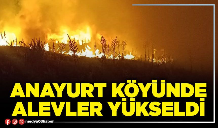 Anayurt Köyünde alevler yükseldi