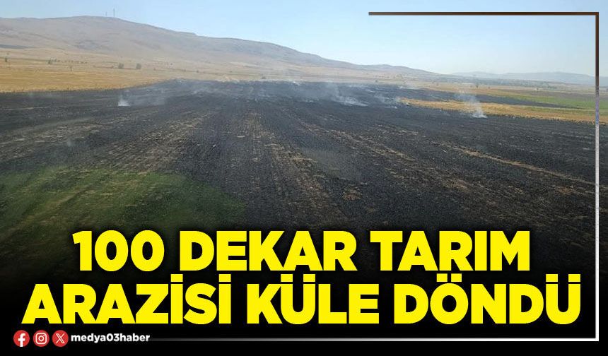 100 dekar tarım arazisi küle döndü
