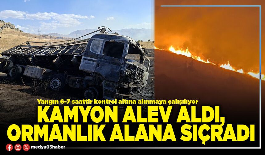 Kamyon alev aldı, ormanlık alana sıçradı