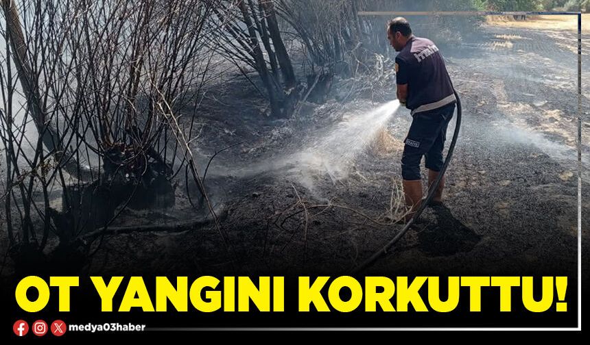 Ot yangını korkuttu!