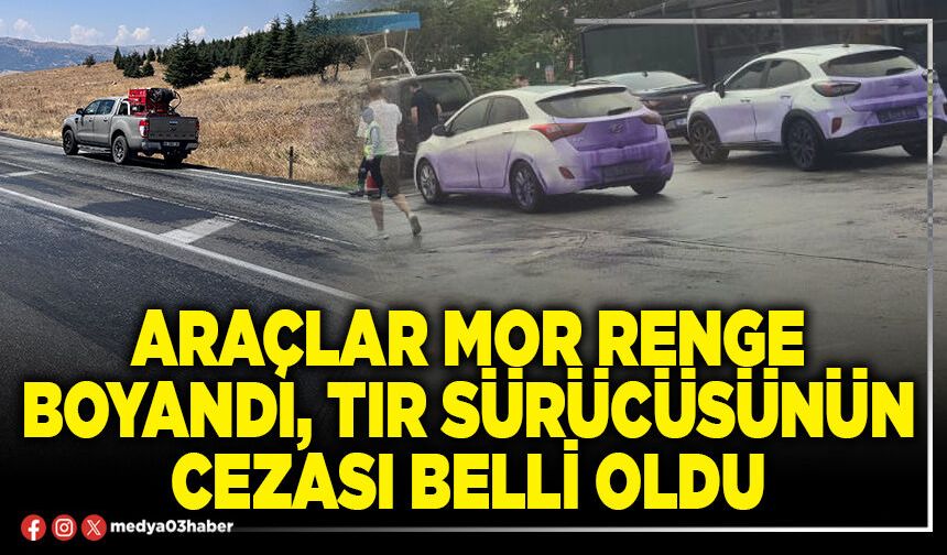 Araçlar mor renge boyandı, tır sürücüsünün cezası belli oldu