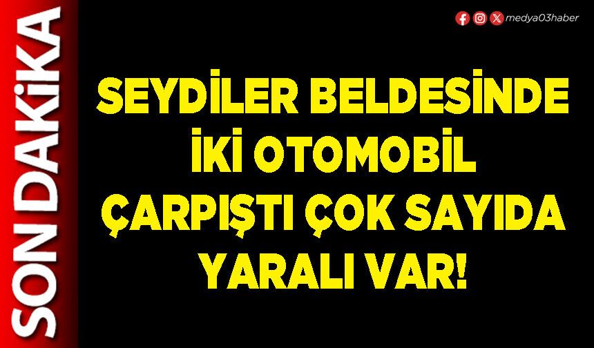 Seydiler Beldesinde iki otomobil çarpıştı çok sayıda yaralı var!