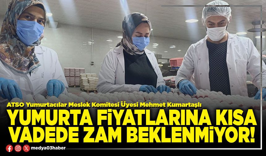 Yumurta fiyatlarına kısa vadede zam beklenmiyor!