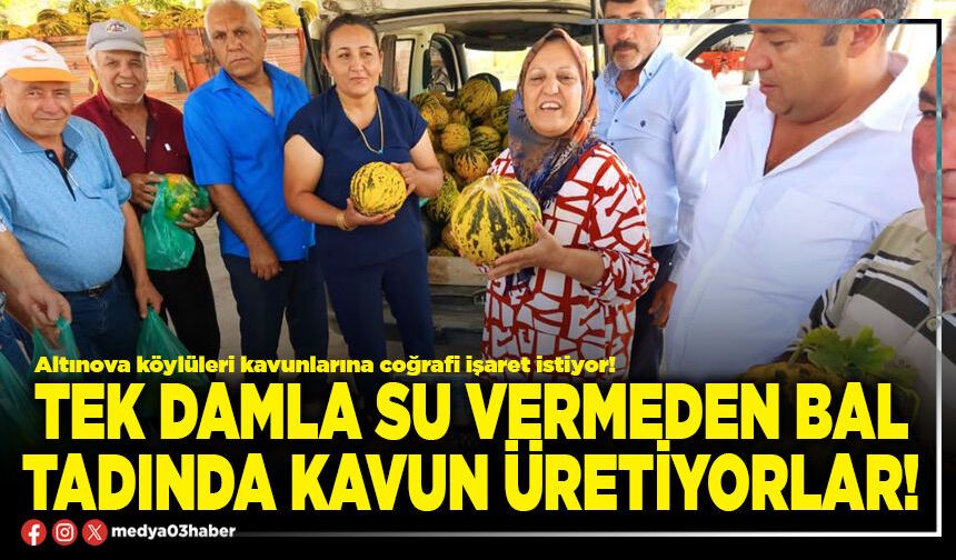 Tek damla su vermeden bal tadında kavun üretiyorlar!