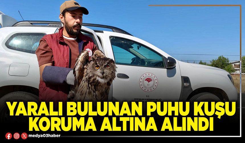 Yaralı bulunan puhu kuşu koruma altına alındı