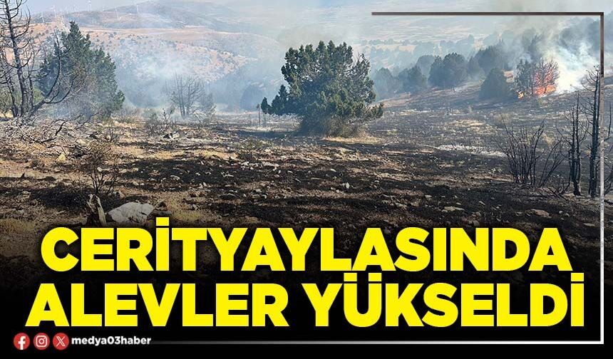 Cerityaylasında alevler yükseldi