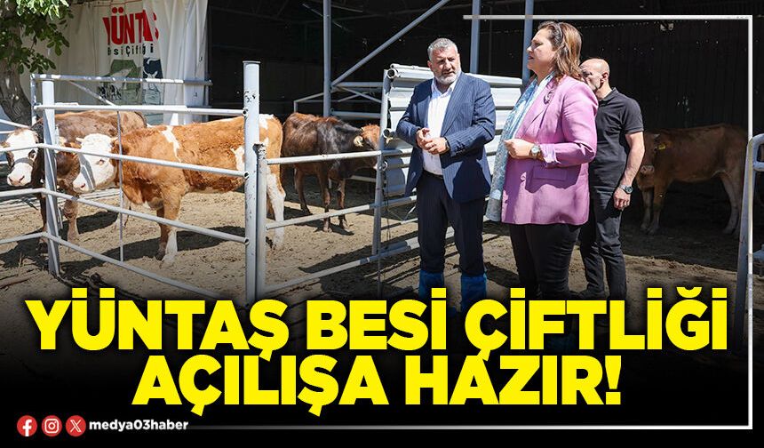 Yüntaş besi çiftliği açılışa hazır!