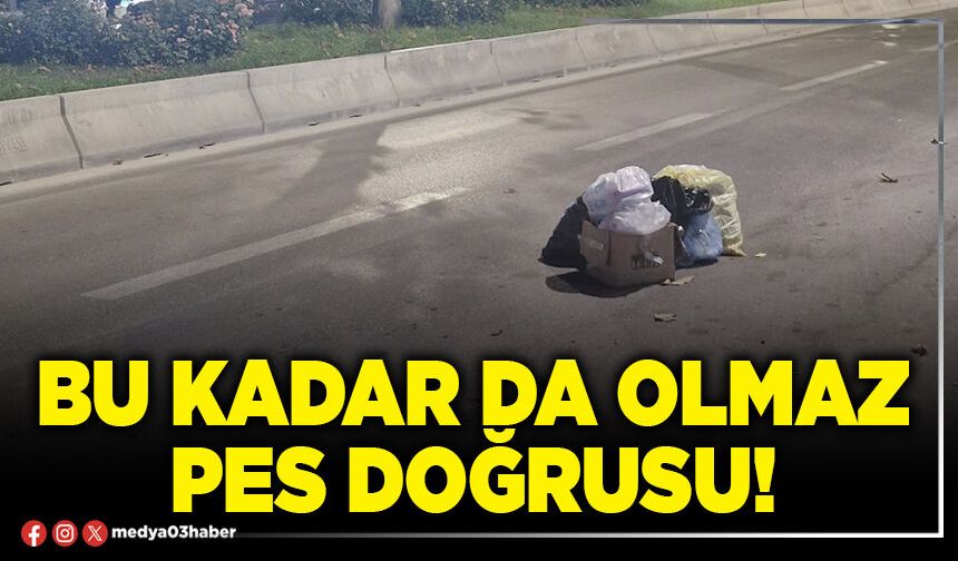 Bu kadar da olmaz pes doğrusu!