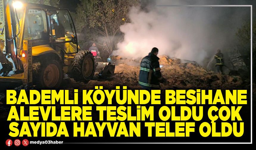 Bademli köyünde besihane alevlere teslim oldu çok sayıda hayvan telef oldu