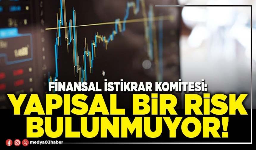Finansal istikrar komitesi: Yapısal bir risk bulunmuyor!