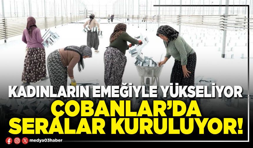 Kadınların emeğiyle yükseliyor: Çobanlar’da seralar kuruluyor!