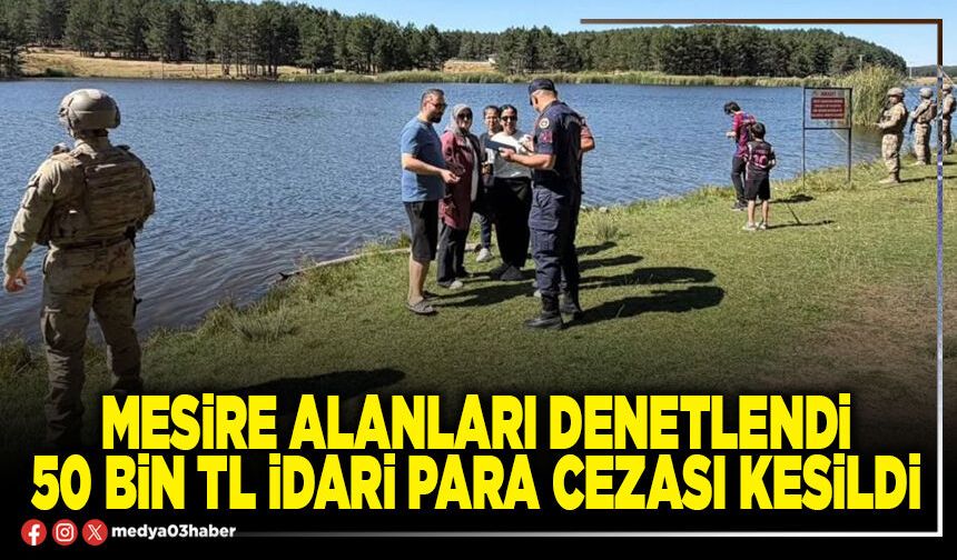 Mesire alanları denetlendi 50 Bin TL idari para cezası kesildi