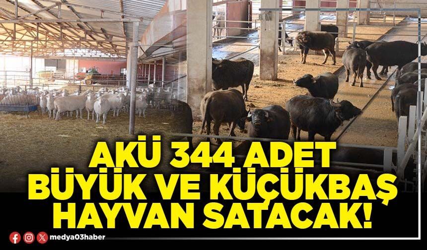AKÜ 344 adet büyük ve küçükbaş hayvan satacak!