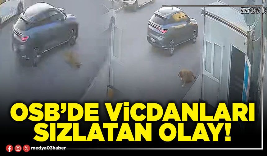 OSB’de vicdanları sızlatan olay!