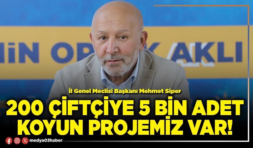 200 çiftçiye 5 bin adet koyun projemiz var!