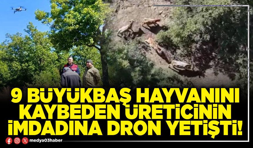 9 büyükbaş hayvanını kaybeden üreticinin imdadına dron yetişti!