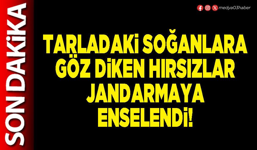 Tarladaki soğanlara göz diken hırsızlar jandarmaya enselendi!