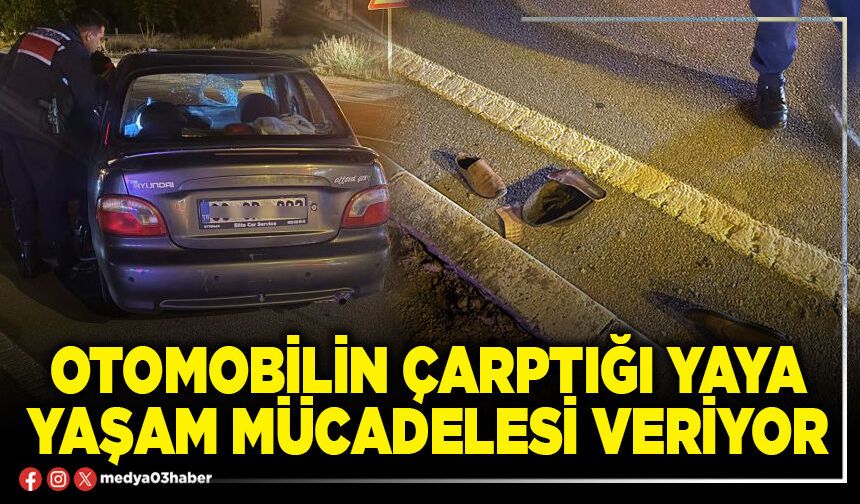 Otomobilin çarptığı yaya yaşam mücadelesi veriyor