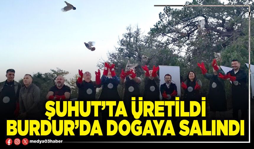 Şuhut’ta üretildi Burdur’da doğaya salındı