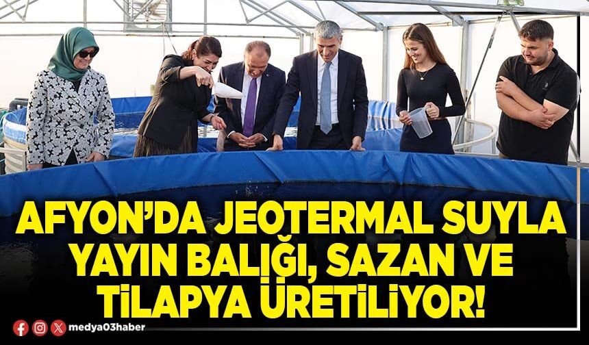 Afyon’da jeotermal suyla Yayın Balığı, Sazan ve Tilapya üretiliyor!