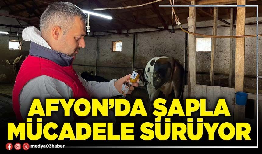 Afyon’da şapla mücadele sürüyor