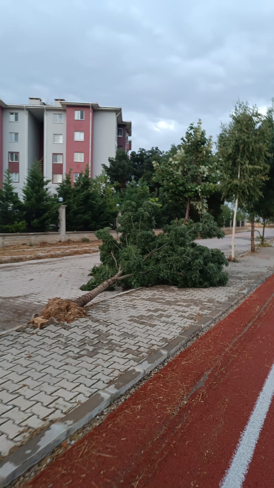 Whatsapp Görsel 2025 08 08 Saat 20.07.32 72A15235