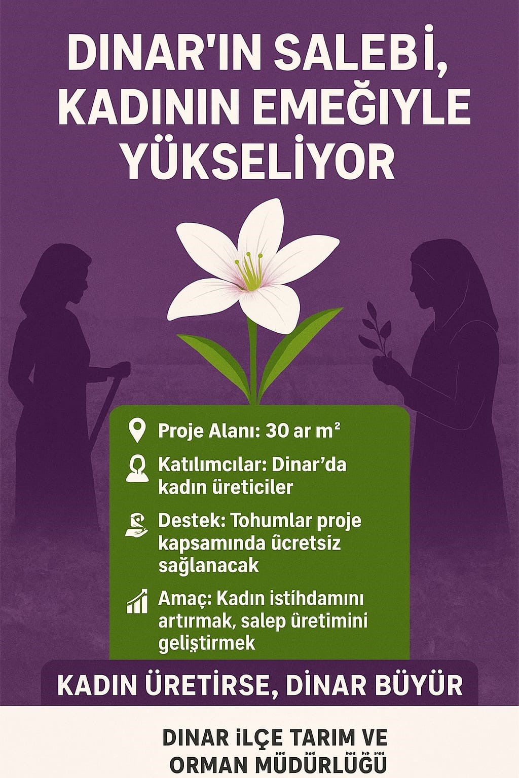 A W529985 01