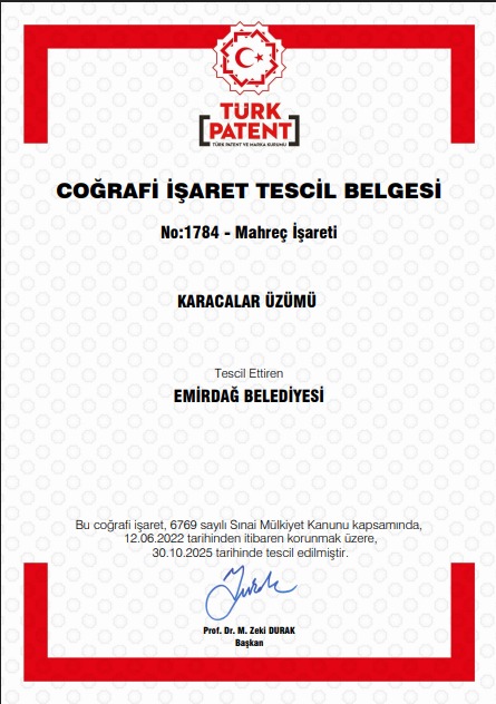 Thumbnail Emirdağ’ın Coğrafi İşaretli Değerlerine Bir Yenisi Daha Eklendi Karacalar Üzümü Tescillendi