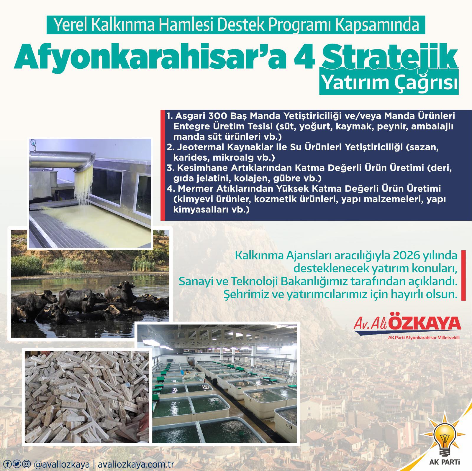 625287335 25718789454445416 1228924793330244502 N