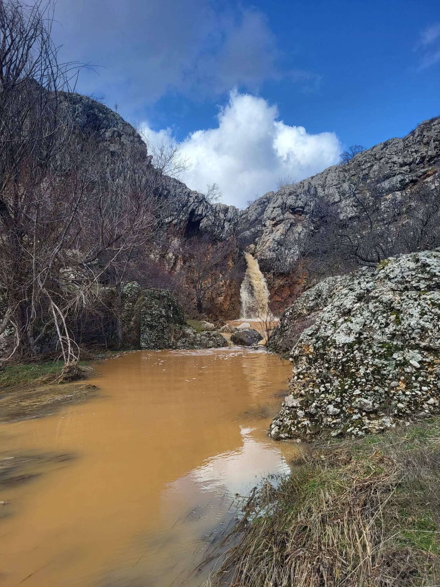 Whatsapp Image 2026 02 07 At 17.58.39