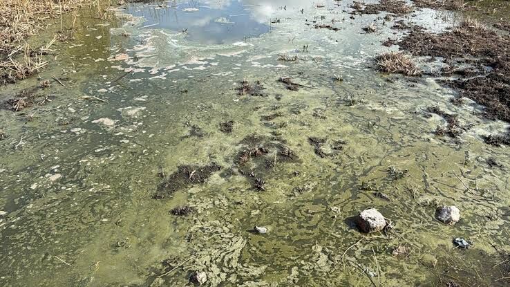 Whatsapp Image 2026 04 20 At 10.44.37