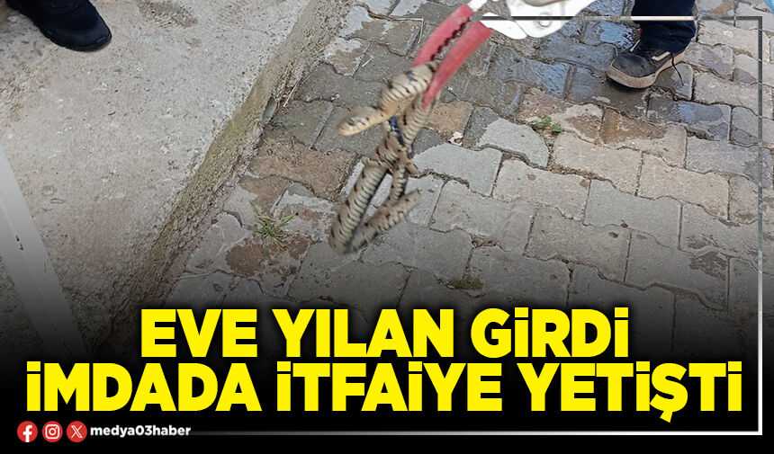 Eve yılan girdi imdada itfaiye yetişti