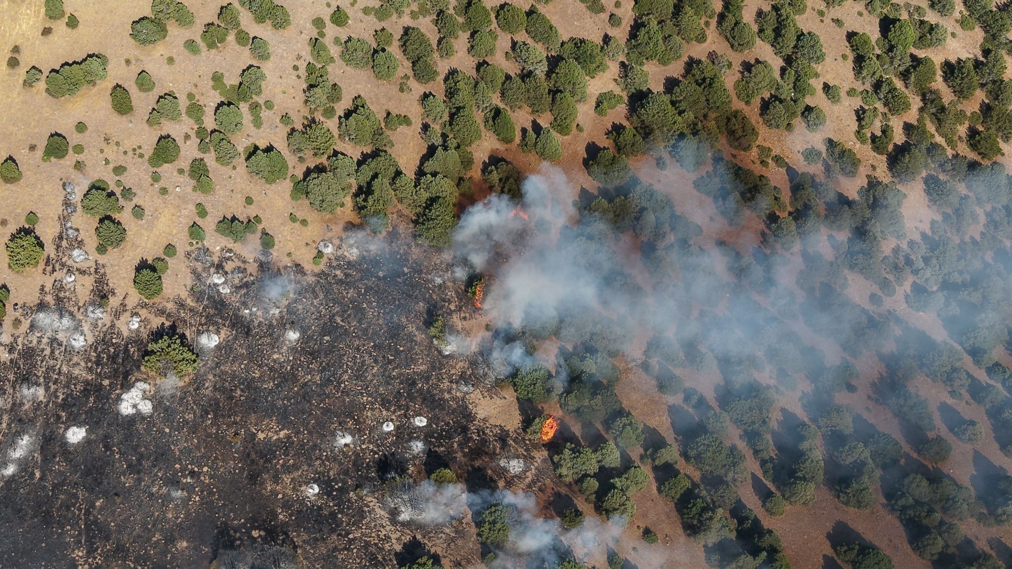 A W780377 03