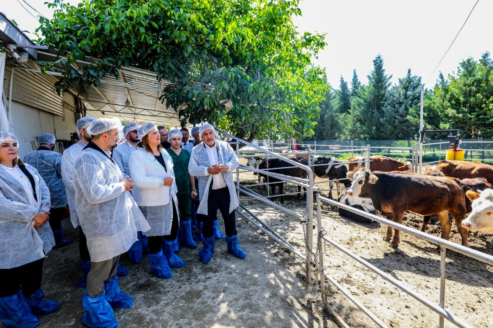 F359363C 55Fa 4544 B8D6 B3Ed2Fc1A1A2 Yüntaş Besi Çiftliği Açılışı 017